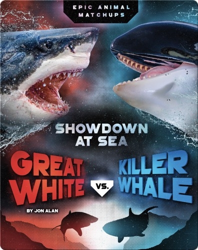 Great White vs. Killer Whale
