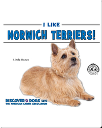 I Like Norwich Terriers!