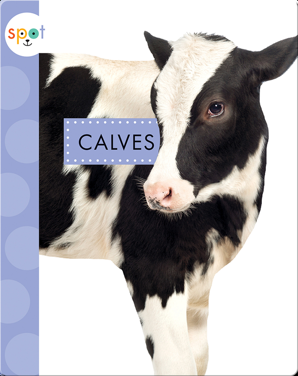 Baby Farm Animals: Calves