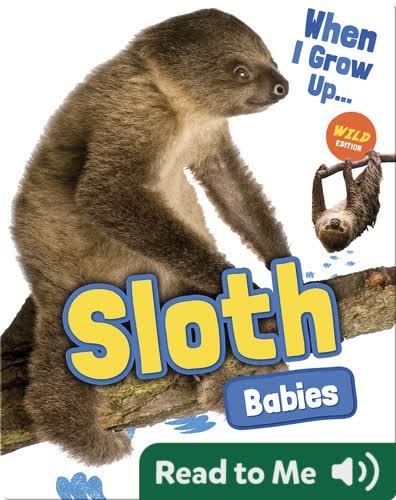 Sloth Babies