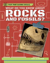 What Do You Know About Rocks and Fossils?