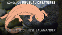 Songs for Unusual Creatures: The Giant Chinese Salamander
