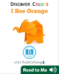 Discover Colors: I See Orange