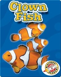 Clown Fish: Oceans Alive