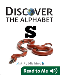 Discover The Alphabet: S