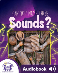 Can You Name These Sounds?