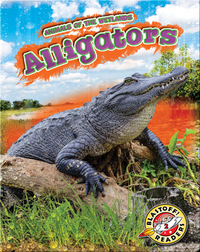 Animals of the Wetlands: Alligators