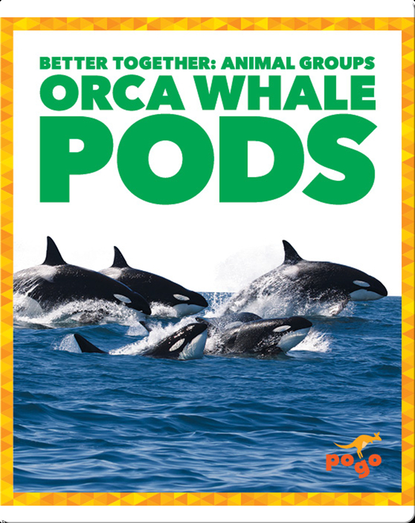 Orca Whales Pods