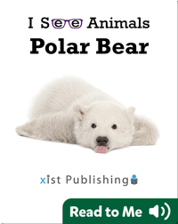 I See Animals: Polar Bear