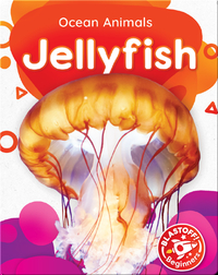 Ocean Animals: Jellyfish