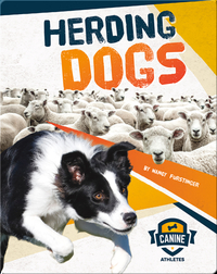 Canine Athletes: Herding Dogs