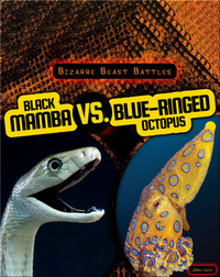 Bizarre Beast Battles: Black Mamba vs. Blue-Ringed Octopus