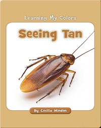 Learning My Colors: Seeing Tan