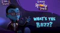 Spooky Town: What's The Buzz?