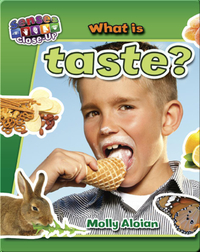 What is Taste?
