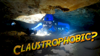 Jonathan Bird's Blue World: Underwater Cave Creatures!