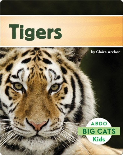Big Cats: Tigers