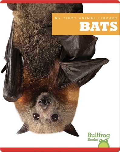 My First Animal Library: Bats