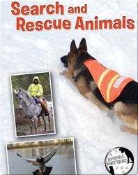 Search And Rescue Animals
