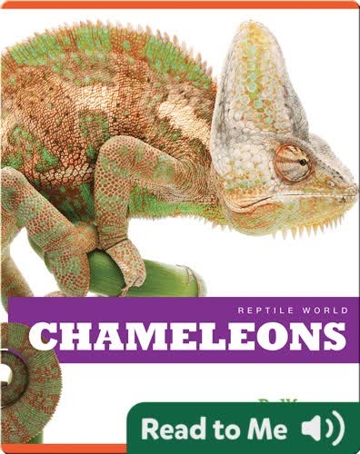 Reptile World: Chameleons