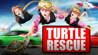 Turtle Rescue | Turtle Rescued from the Highway of Doom!