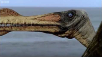 Reptiles of the Skies - Walking With Dinosaurs