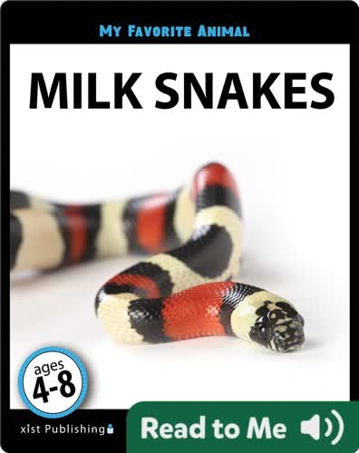 My Favorite Animal: Milk Snakes