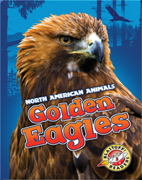 North American Animals: Golden Eagles