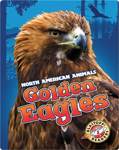 North American Animals: Golden Eagles