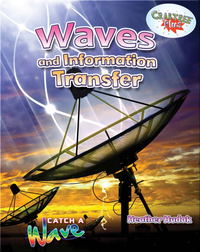 Waves and Information Transfer