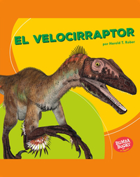 El velocirraptor (Velociraptor)
