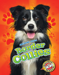 Awesome Dogs: Border Collies