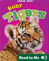 Super Cute! Baby Tigers