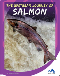 The Upstream Journey of Salmon