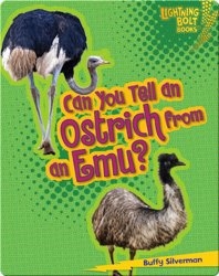 Can you tell an Ostrich from an Emu?