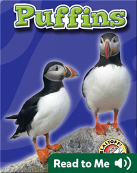 Puffins: Oceans Alive