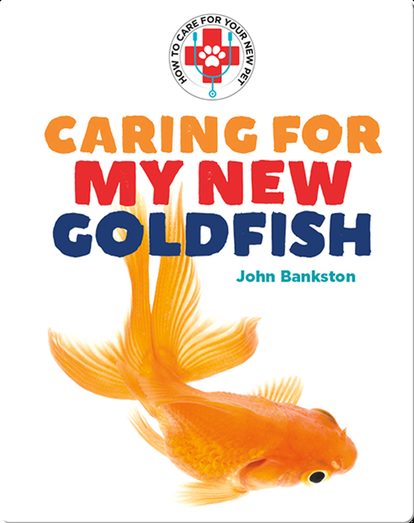 Caring for My New Goldfish