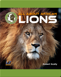 All About African Lions