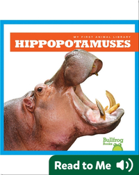 My First Animal Library: Hippopotamuses