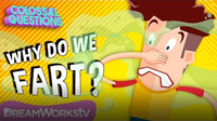 Why Do We Fart? | COLOSSAL QUESTIONS