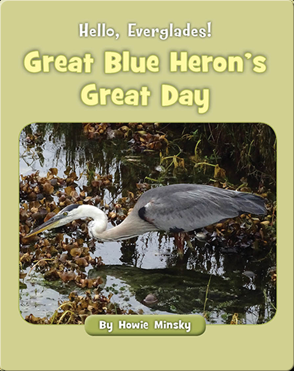 Hello, Everglades!: Great Blue Heron's Great Day