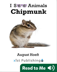 I See Animals: Chipmunk