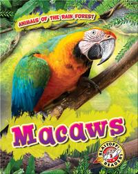 Animals of the Rain Forest: Macaws