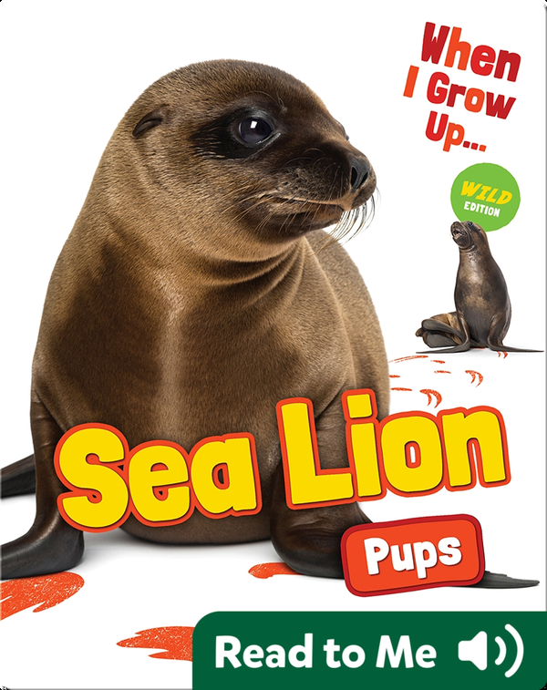 When I Grow Up: Sea Lion Pups