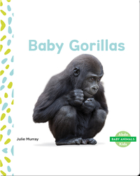Baby Animals: Baby Gorillas