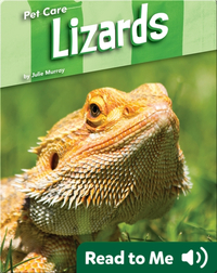 Pet Care: Lizards