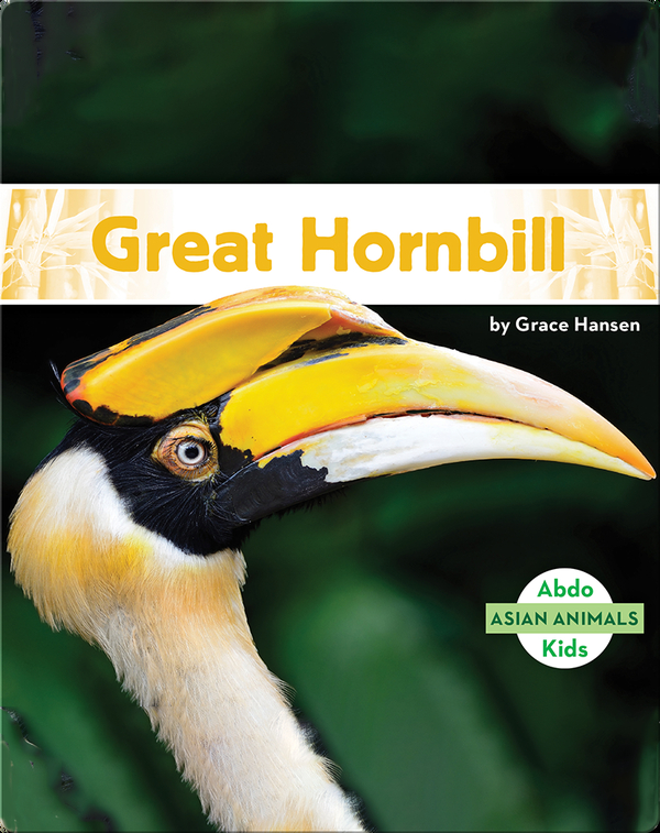 Asian Animals: Great Hornbill