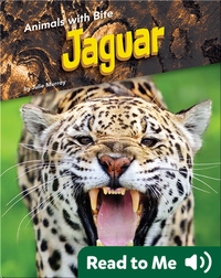 Animals with Bite: Jaguar