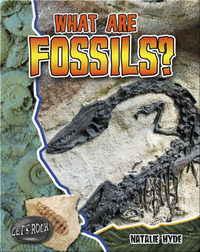 What Are Fossils? (Let's Rock!)