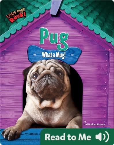Pug: What a Mug!